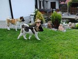 2010_05_24 195.jpg